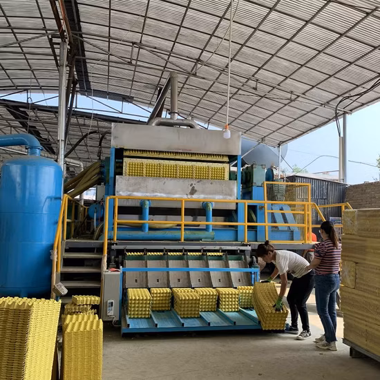 Waste Paper Egg Tray Molding Machine Rotational Egg Tray Machine